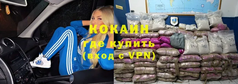 Cocaine Fish Scale  Западная Двина 